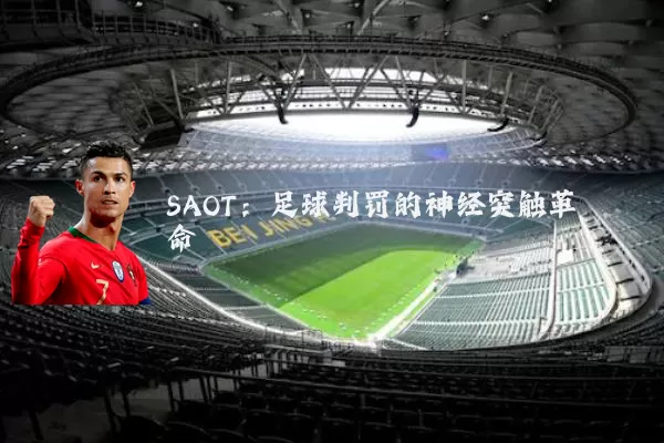 SAOT:足球判罚的神经突触革命