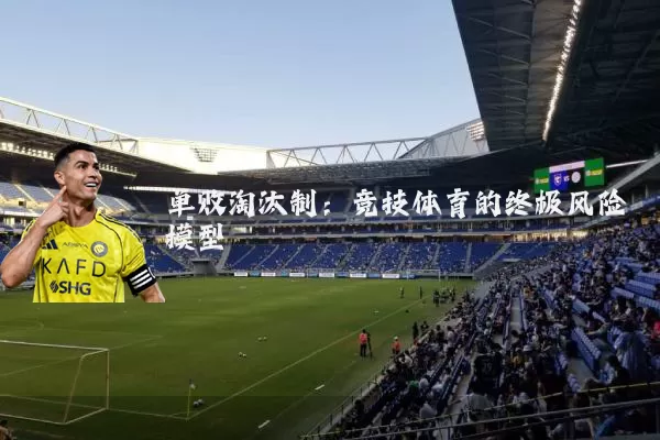 单败淘汰制:竞技体育的终极风险模型